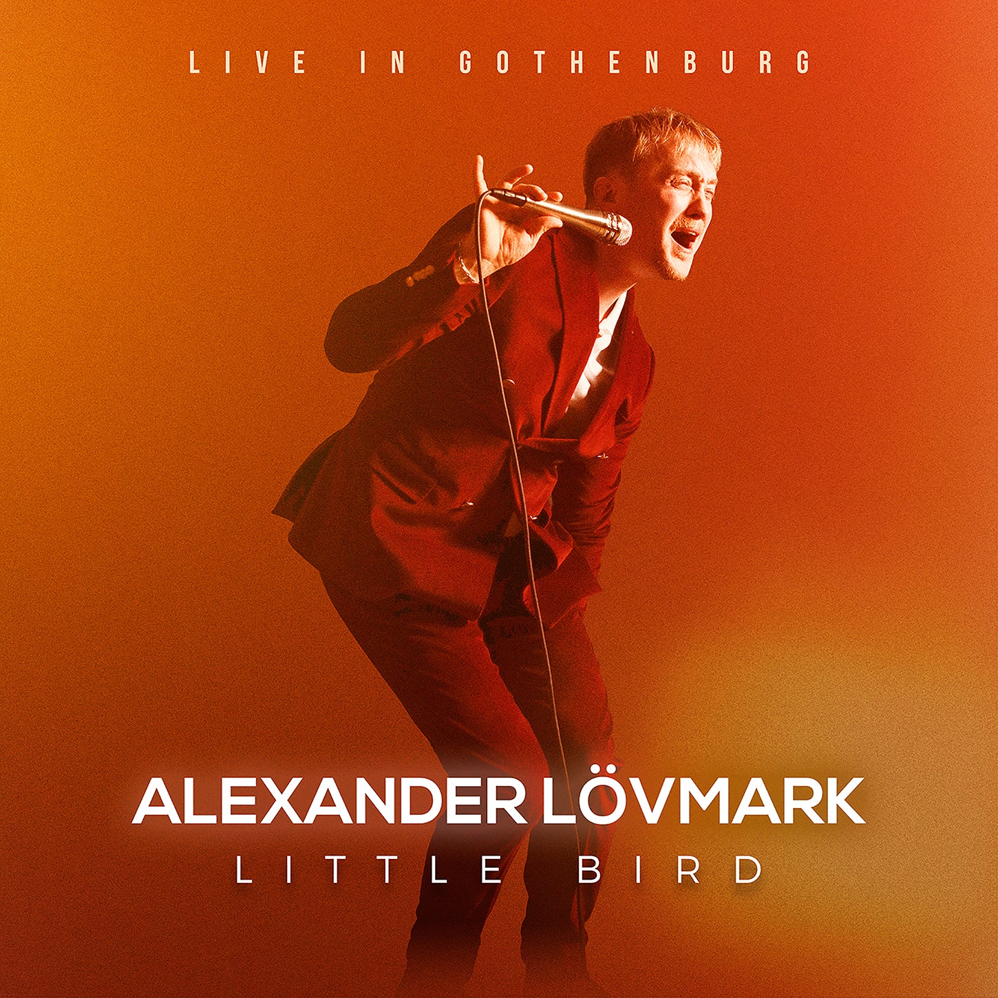 Little Bird – Live in Gothenburg / Alexander Lövmark