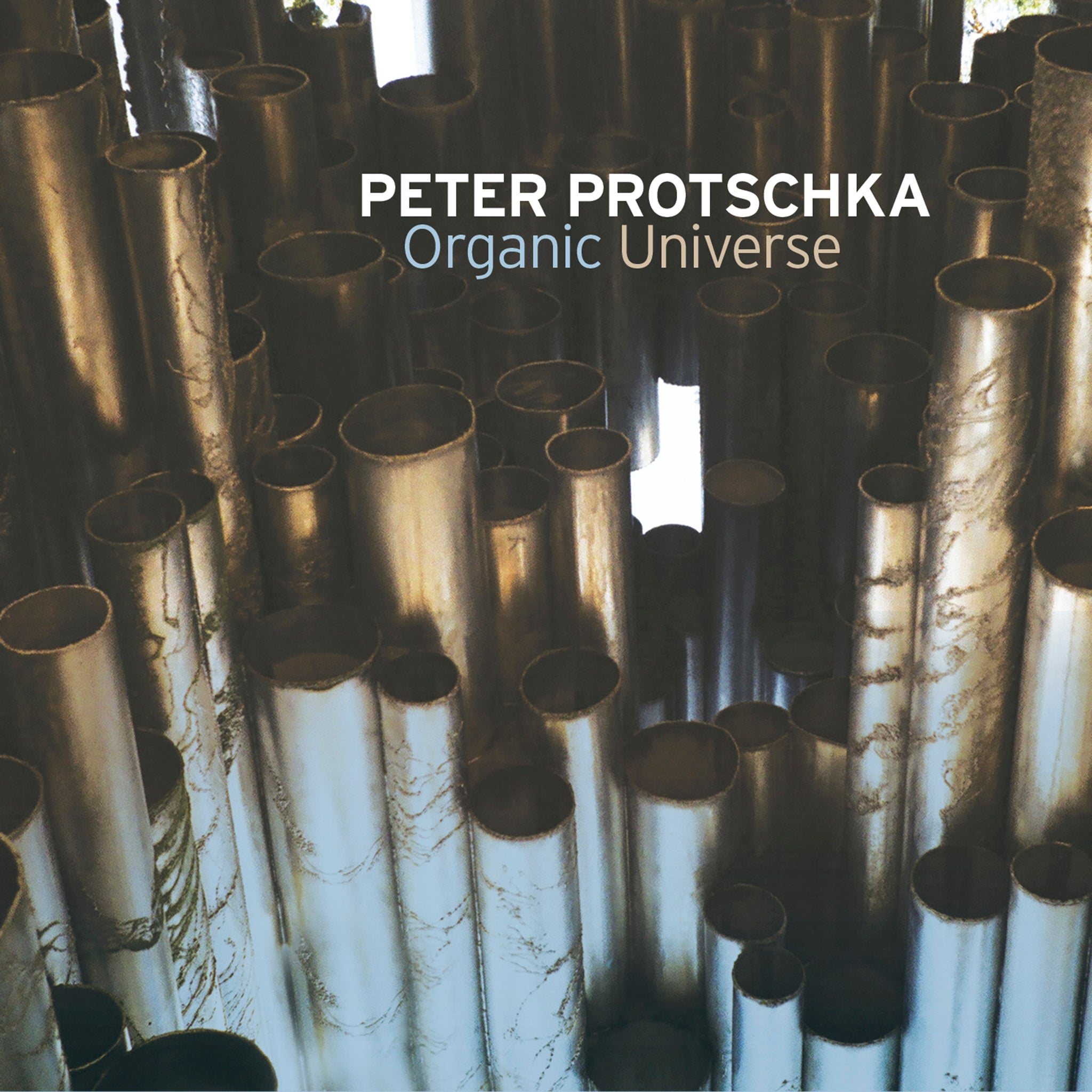 Peter Protschka: Organic Universe