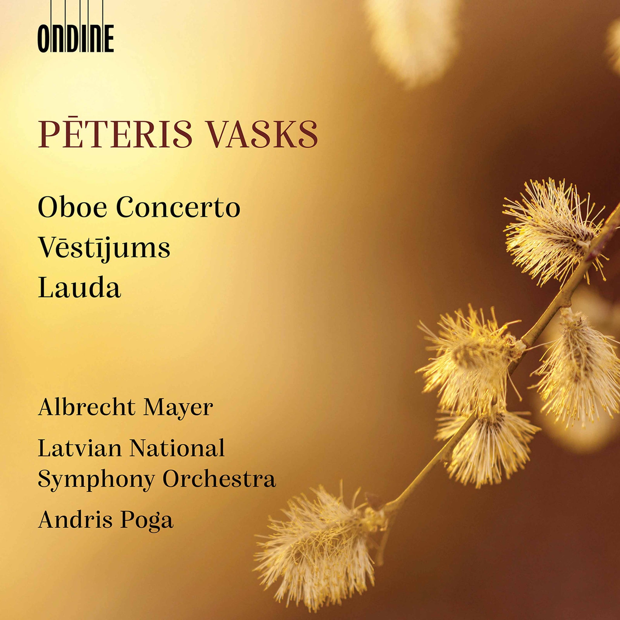 Vasks: Oboe Concerto - Vestijums - Lauda / Mayer, Poga, Latvian National Symphony